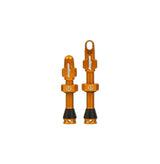 Hope Tubeless Valves: 40mm/ 60mm (Pair) - Various Colours E-BIKE